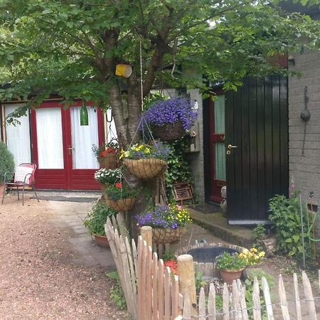 Bed And Breakfast Het Oude Bos Wijnjewoude Ngoại thất bức ảnh