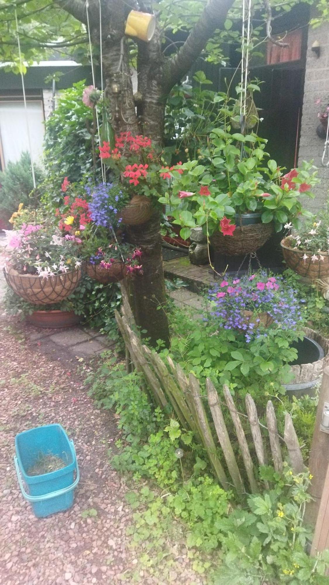 Bed And Breakfast Het Oude Bos Wijnjewoude Ngoại thất bức ảnh